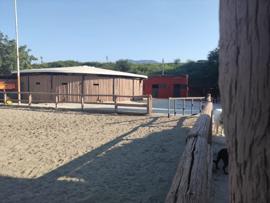 tondino allenamento