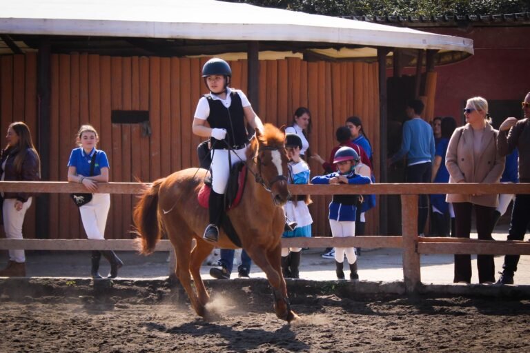 bambini, ragazzi e adulti durante una gara di salto ad ostacoli