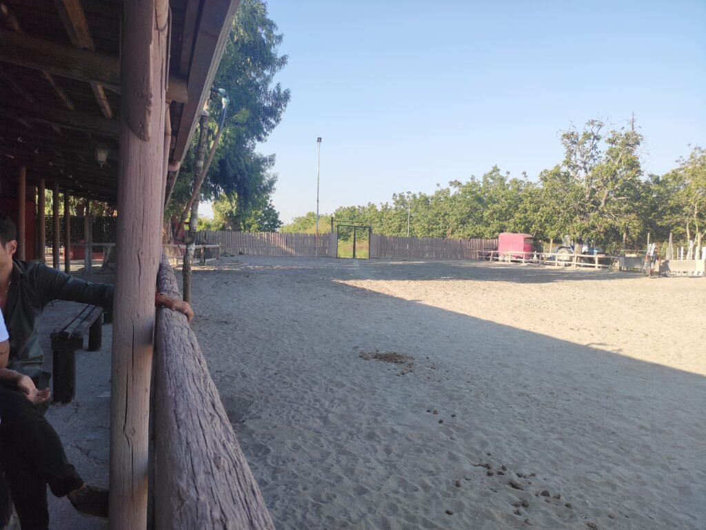 Centro Ippico Phidias a Pomigliano d'Arco
